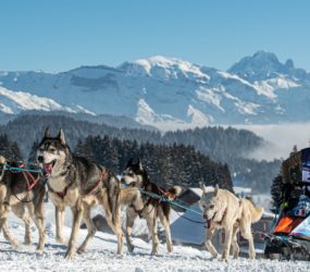 crédit : Benoît DIACRE