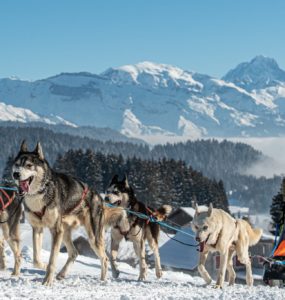 crédit : Benoît DIACRE