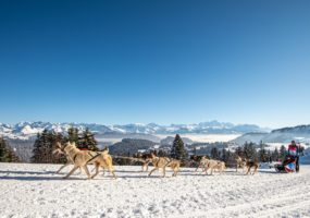 crédit : Benoît DIACRE