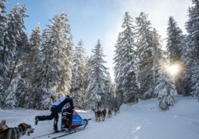 crédit : Benoît DIACRE