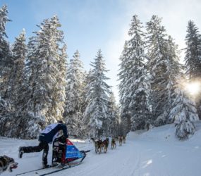 crédit : Benoît DIACRE