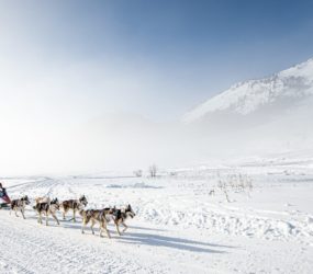 crédit : Benoît DIACRE