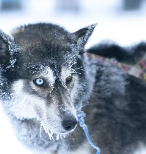crédit : Romain TISSOT