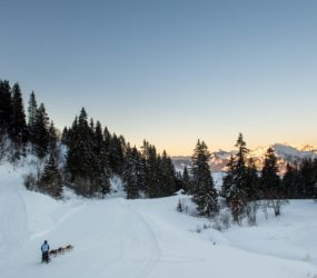 crédit : Benoît DIACRE