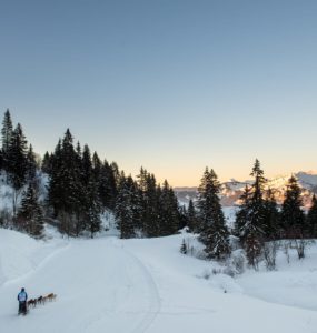 crédit : Benoît DIACRE