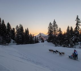 crédit : Benoît DIACRE