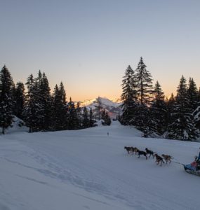 crédit : Benoît DIACRE