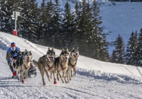 crédit : Romain TISSOT