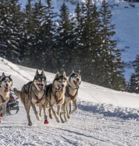 crédit : Romain TISSOT