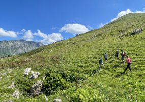Alpage de l'Avouille à Samoëns le 6 juillet