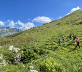 Alpage de l'Avouille à Samoëns le 6 juillet
