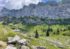 Alpage de Bostan à Samoëns le 6 juillet
