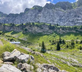 Alpage de Bostan à Samoëns le 6 juillet