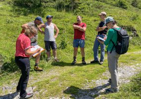 Alpage de Bostan à Samoëns le 6 juillet