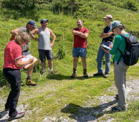 Alpage de Bostan à Samoëns le 6 juillet