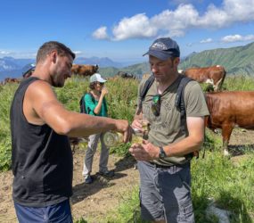 Alpage de l'Avouille à Samoëns le 6 juillet
