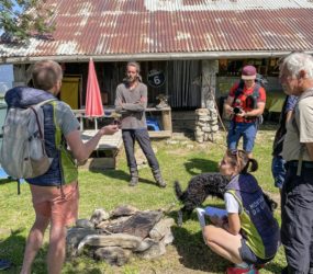 Alpage des Hauts-Fleury à Mieussy le 7 juillet