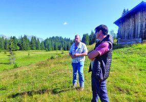 Alpage de la Rosière à Taninges le 6 juillet