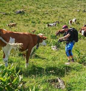 Alpage du Lac de Roy à Taninges le 6 juillet