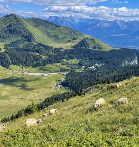 Alpage du Coin à Mieussy le 7 juillet