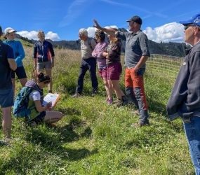 Alpage du Coin à Mieussy le 7 juillet