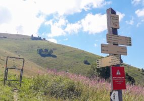 Alpage de Roche-Pallud à Mieussy le 7 juillet