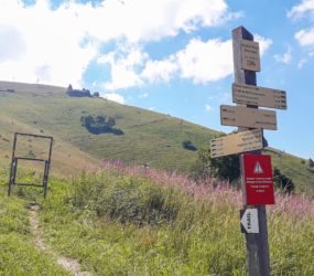 Alpage de Roche-Pallud à Mieussy le 7 juillet