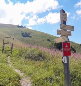 Alpage de Roche-Pallud à Mieussy le 7 juillet