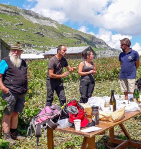 Alpages de Sales et Salamanes à Sixt-Fer-à-Cheval le 6 juillet