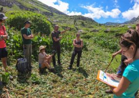 Alpages de Sales et Salamanes à Sixt-Fer-à-Cheval le 6 juillet