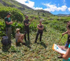 Alpages de Sales et Salamanes à Sixt-Fer-à-Cheval le 6 juillet