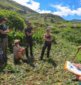 Alpages de Sales et Salamanes à Sixt-Fer-à-Cheval le 6 juillet