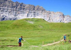 Installation de la cordelette entre chaque poteau en bois