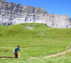 Installation de la cordelette entre chaque poteau en bois