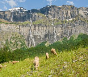 Crédit-photo : Frank MIRAMAND