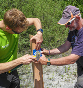 Pose de la signalétique par les agents du service 