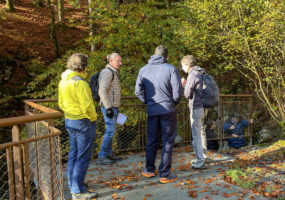 Visite des Gorges des Tines