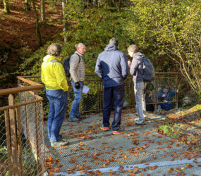 Visite des Gorges des Tines