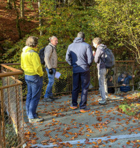 Visite des Gorges des Tines